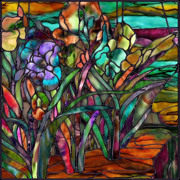 Sasha: Candy Coated Irises by Sasha