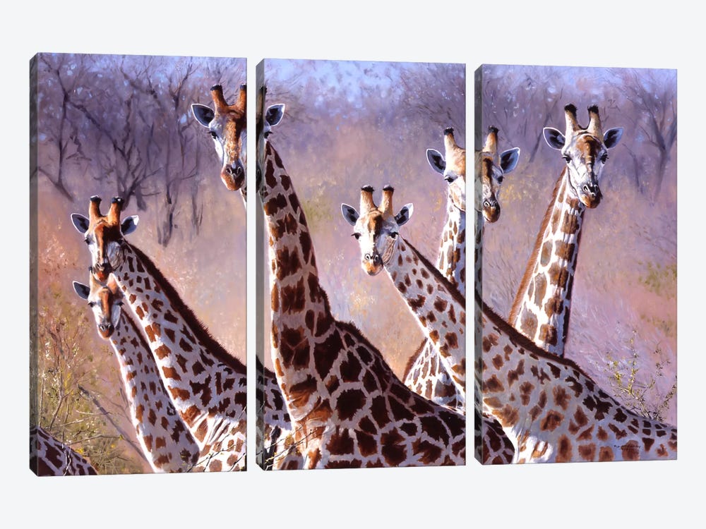 Giraffes by Pip McGarry 3-piece Art Print