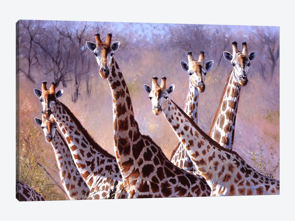 Giraffes by Pip McGarry 1-piece Canvas Print
