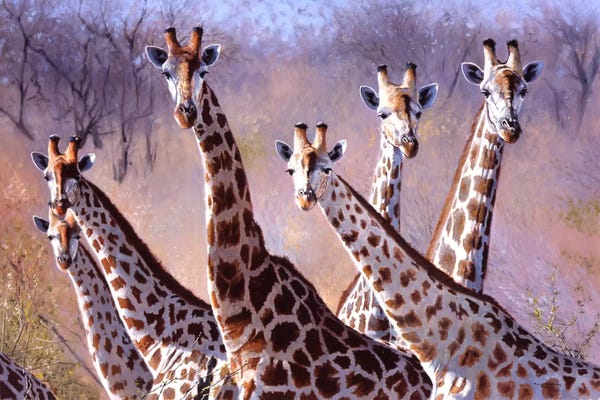Giraffes: Giraffes by Pip McGarry