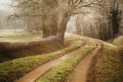 Path To Wonderland by Annabelle Chabert canvas print