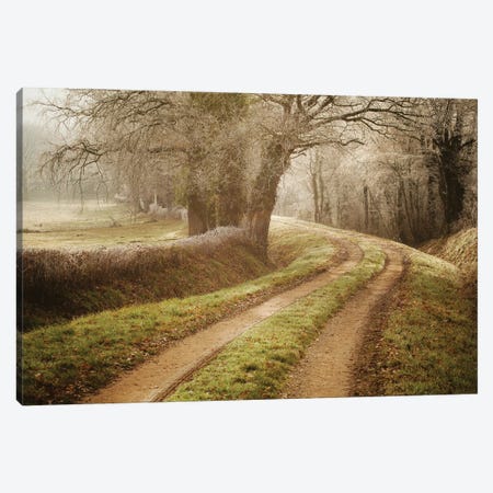 Path To Wonderland Canvas Print #AAB101} by Annabelle Chabert Canvas Wall Art