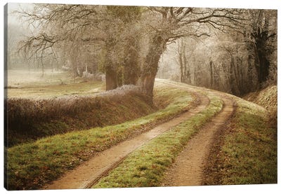 Path To Wonderland Canvas Art Print - Annabelle Chabert