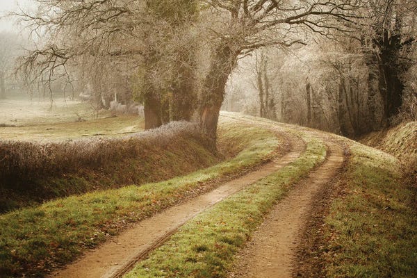 Annabelle Chabert: Path To Wonderland by Annabelle Chabert