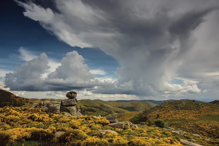 Thunderstorm Over The Flowery Landscape