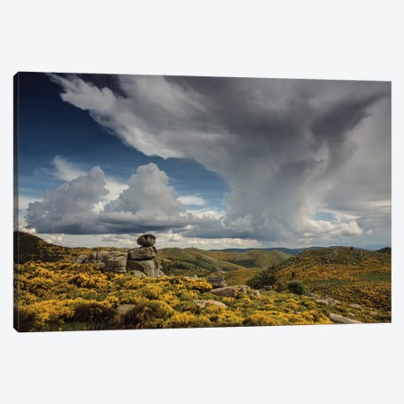 Thunderstorm Over The Flowery Landscape Canvas Print #AAB105} by Annabelle Chabert Canvas Print