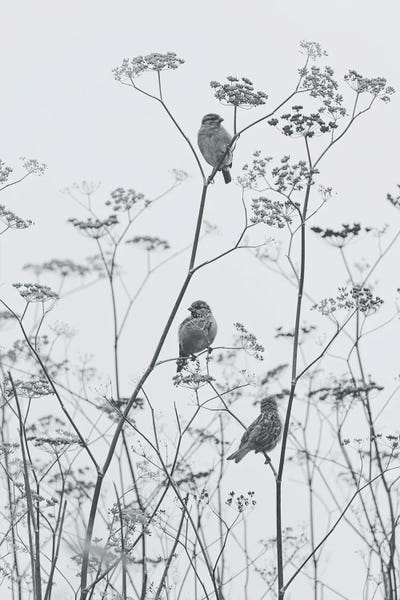 Japanese Estampe by Annabelle Chabert canvas print