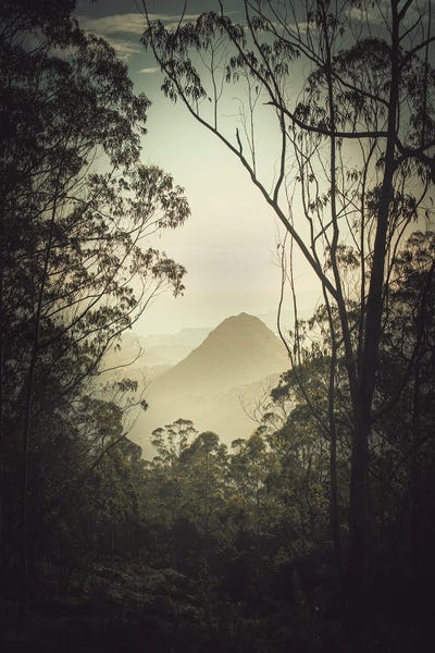 Atmospheric Photography: Japanese Estampe II by Annabelle Chabert