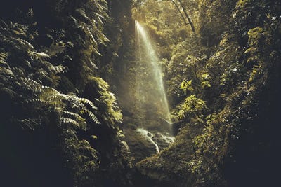 Secret Waterfall In A Luxurious Vegetation by Annabelle Chabert canvas print