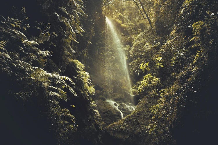 Secret Waterfall In A Luxurious Vegetation