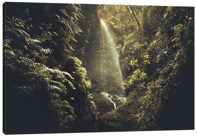 Secret Waterfall In A Luxurious Vegetation Canvas Art Print - Annabelle Chabert
