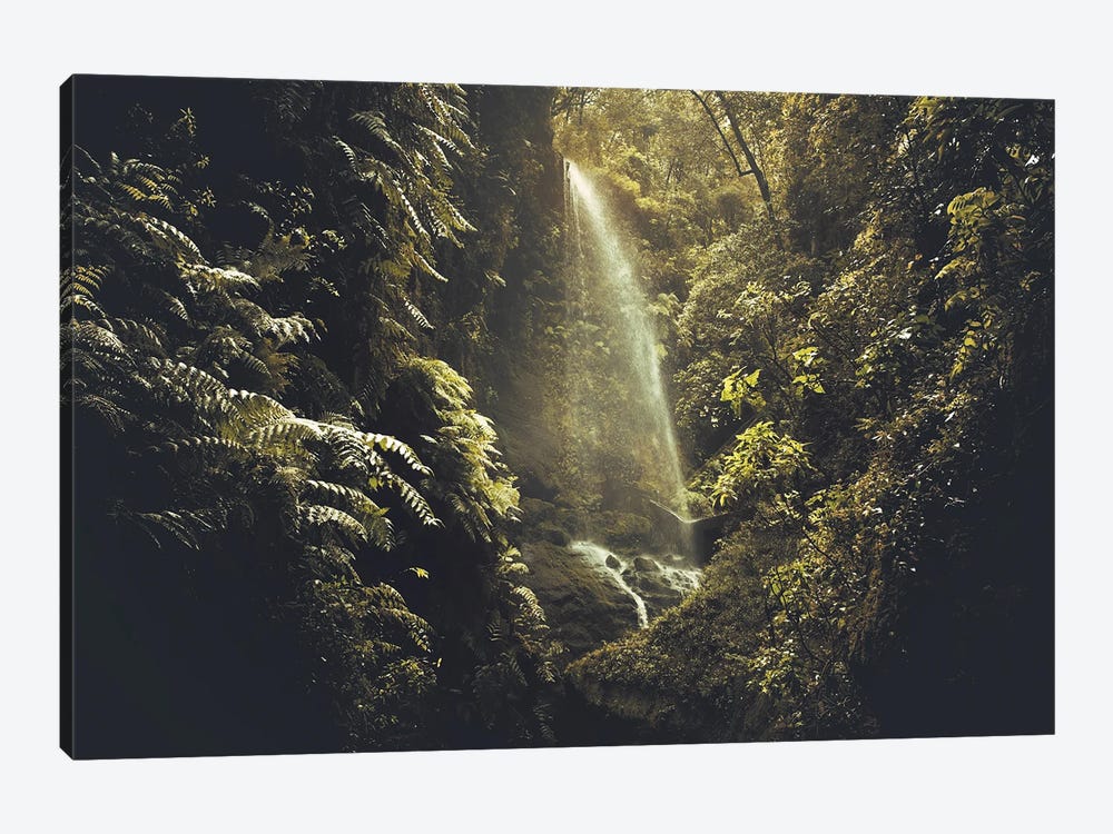 Secret Waterfall In A Luxurious Vegetation by Annabelle Chabert 1-piece Canvas Artwork