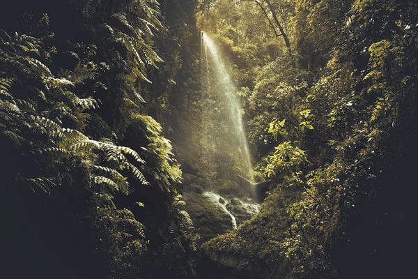 Annabelle Chabert: Secret Waterfall In A Luxurious Vegetation by Annabelle Chabert