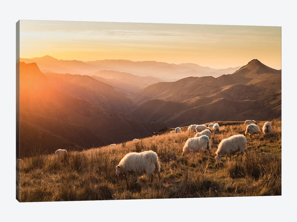 Sheep In Moutains by Annabelle Chabert 1-piece Canvas Artwork