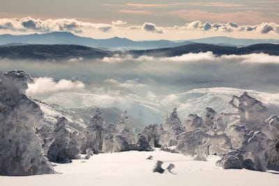 Snow Dream by Annabelle Chabert canvas print