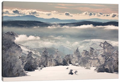 Snow Dream Canvas Art Print - Winter Wonderland
