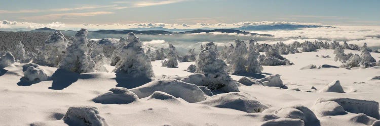 Snow Landscape