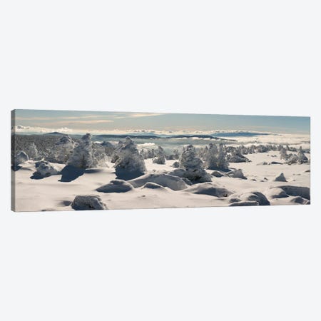 Snow Landscape Canvas Print #AAB24} by Annabelle Chabert Canvas Art Print