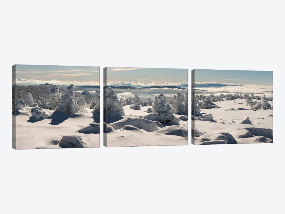 Snow Landscape by Annabelle Chabert 3-piece Art Print