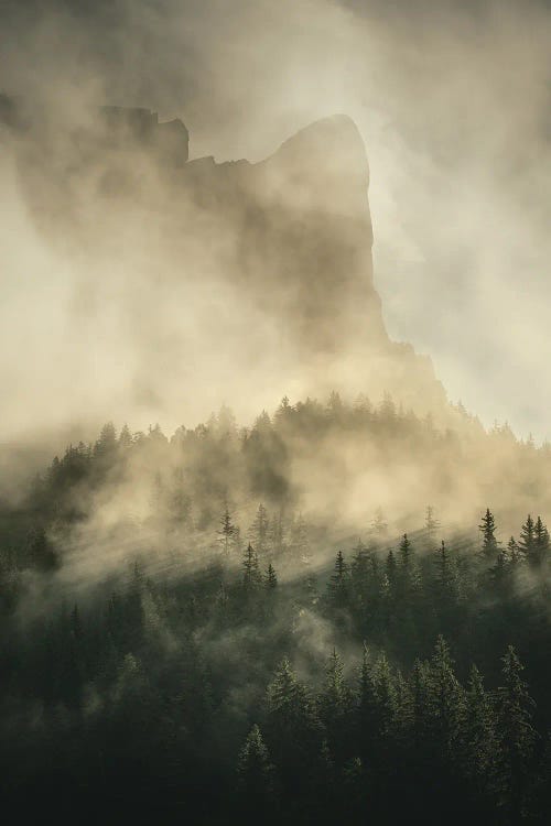 Moutain In The Mist