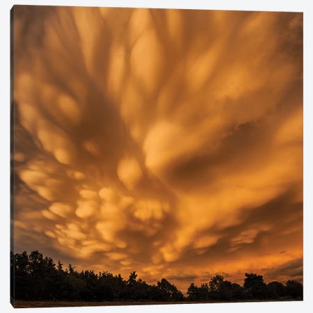 Mamatus Clouds At Sunset - Sky In Fire Canvas Print #AAB31} by Annabelle Chabert Art Print