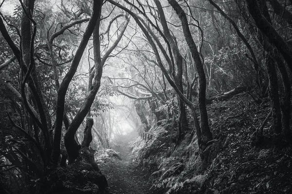 Atmospheric Photography: The Path Of Dreams by Annabelle Chabert