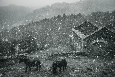 Rural Scenary by Annabelle Chabert canvas print