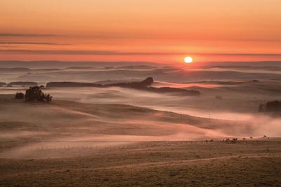 A Misty Morning by Annabelle Chabert canvas print