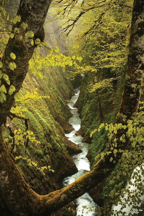 Hidden Canyon by Annabelle Chabert wall art