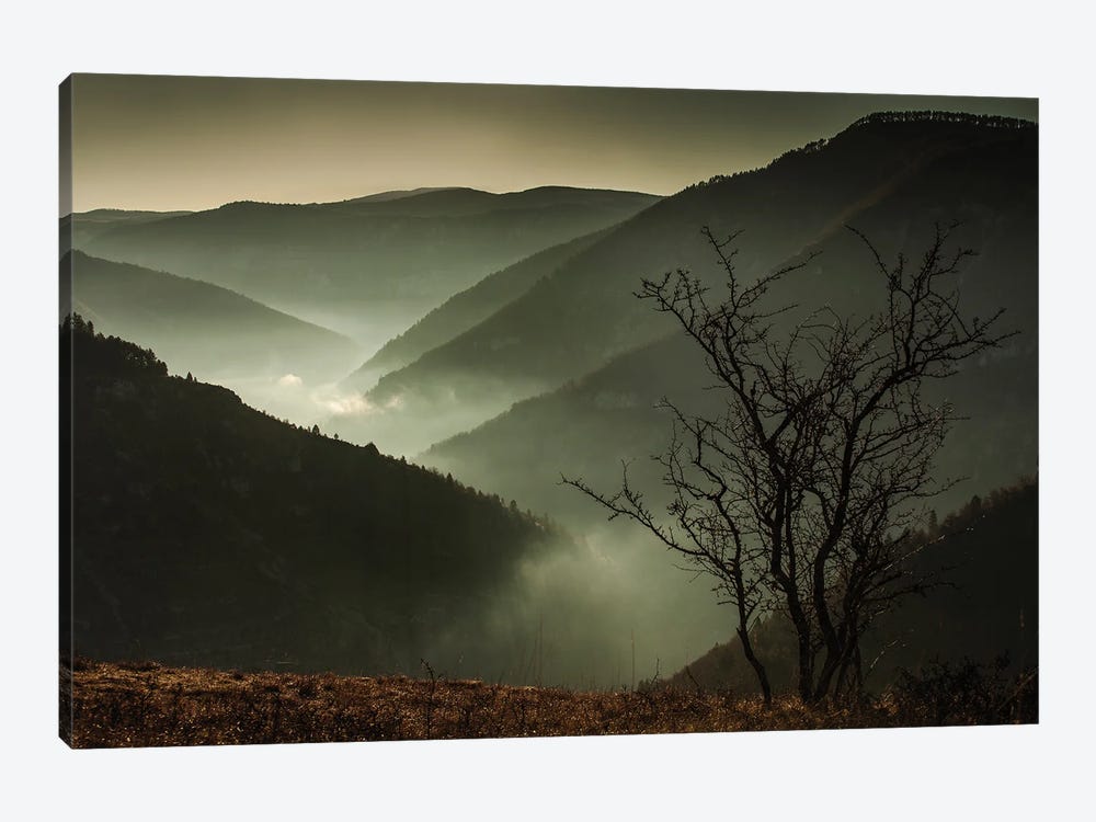 Misty Canyon by Annabelle Chabert 1-piece Canvas Print