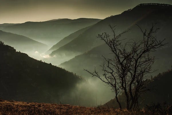 Atmospheric Photography: Misty Canyon by Annabelle Chabert