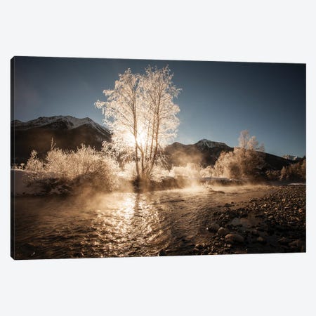 The Golden Frosty Tree Canvas Print #AAB48} by Annabelle Chabert Canvas Art