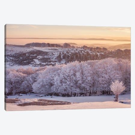Frosty Landscape In The Morning Light Canvas Print #AAB49} by Annabelle Chabert Canvas Art