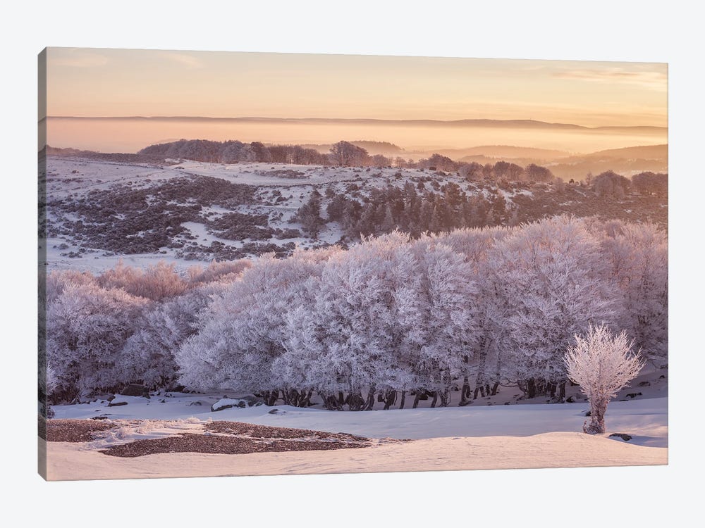 Frosty Landscape In The Morning Light by Annabelle Chabert 1-piece Canvas Art