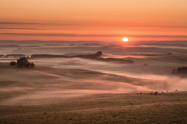 Annabelle Chabert: A Misty Morning by Annabelle Chabert