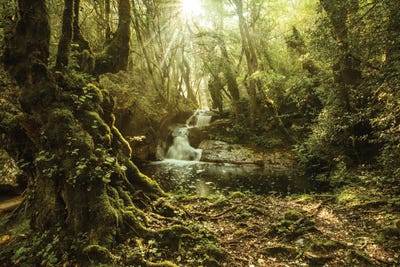 Green Paradise In Corsica Island by Annabelle Chabert canvas print