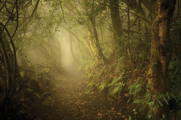 Atmospheric Photography: Way To Wonderland by Annabelle Chabert