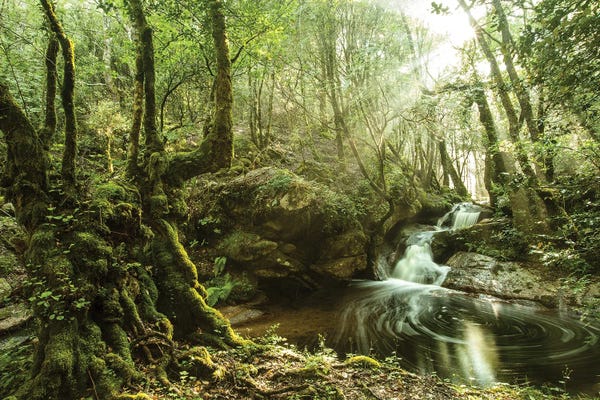 Annabelle Chabert: Green Paradise II In Corsica Island by Annabelle Chabert