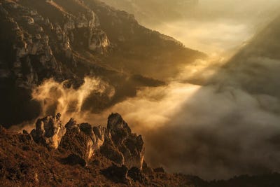 Phoenix Or The Fire Bird by Annabelle Chabert canvas print