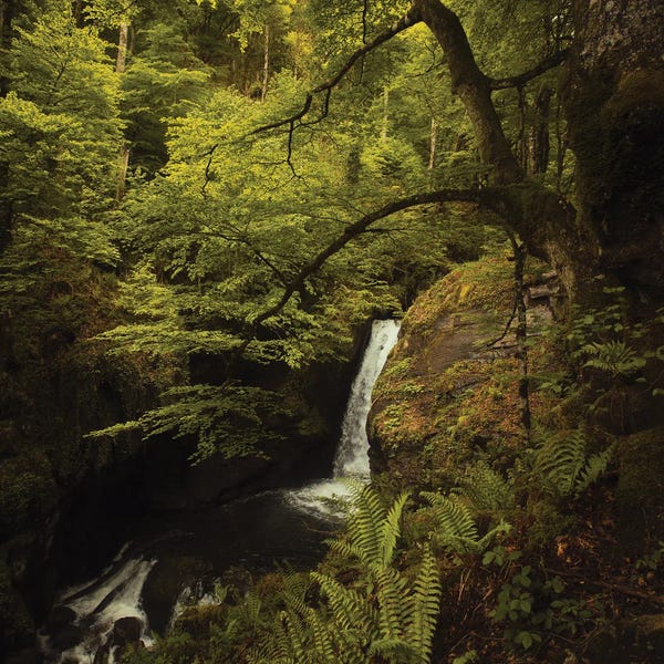 Annabelle Chabert: Lost Waterfall by Annabelle Chabert