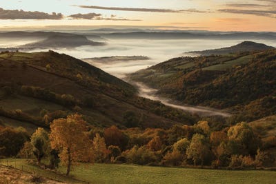 Above The Fog On An Autumn Morning by Annabelle Chabert canvas print
