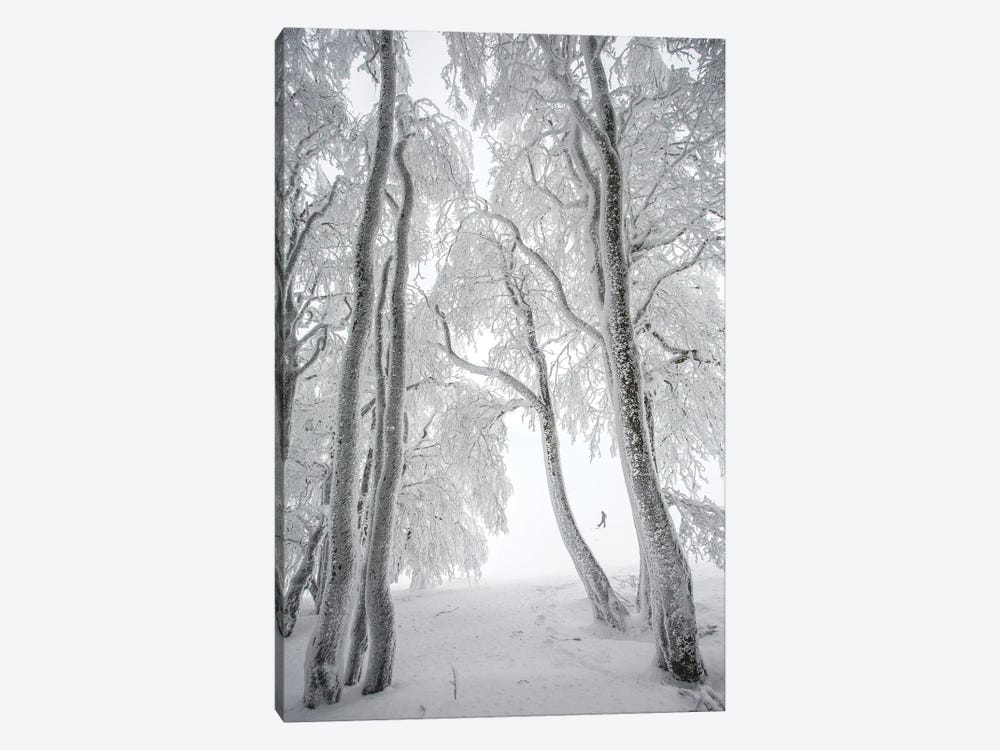 Foggy Forest In Winter by Annabelle Chabert 1-piece Canvas Artwork