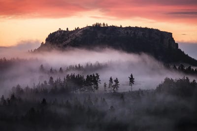 Mist Into The Dark Forest by Annabelle Chabert canvas print