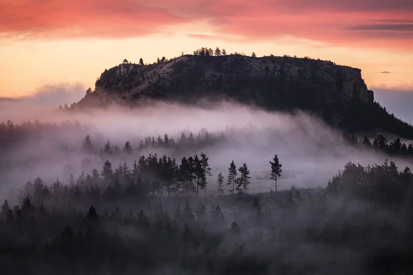 Atmospheric Photography: Mist Into The Dark Forest by Annabelle Chabert