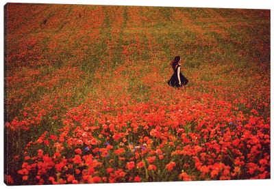 Poppy Field And The Woman In The Black Dress Canvas Art Print - Annabelle Chabert
