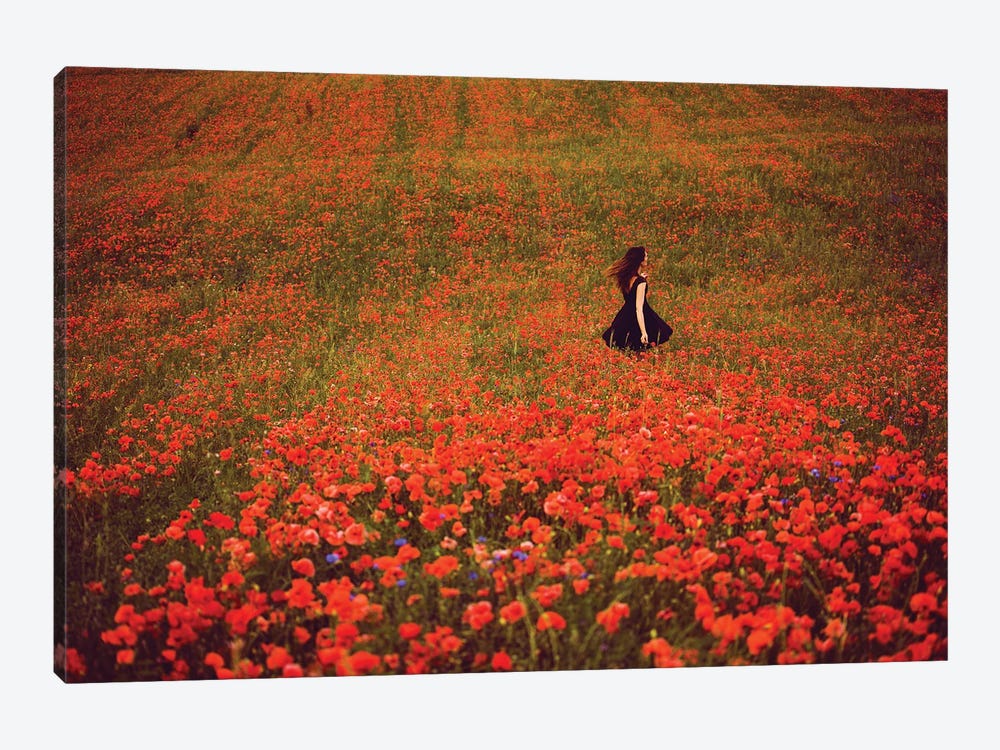 Poppy Field And The Woman In The Black Dress by Annabelle Chabert 1-piece Canvas Print