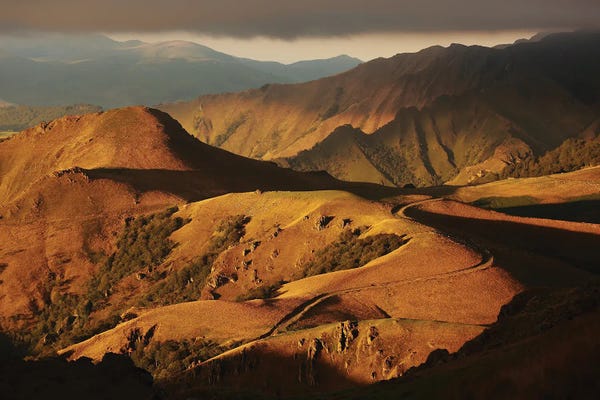Annabelle Chabert: Wild Nature And Golden Colors by Annabelle Chabert