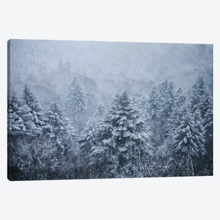 Ghost Trees Under The Snowflakes Canvas Print #AAB76} by Annabelle Chabert Canvas Wall Art