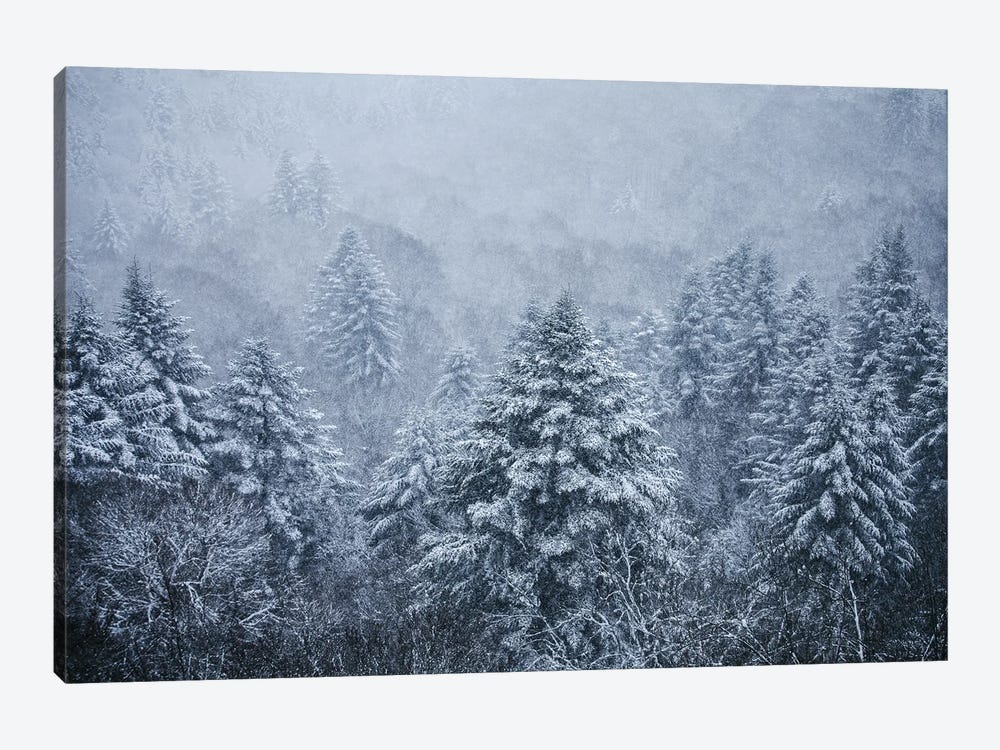 Ghost Trees Under The Snowflakes by Annabelle Chabert 1-piece Canvas Wall Art