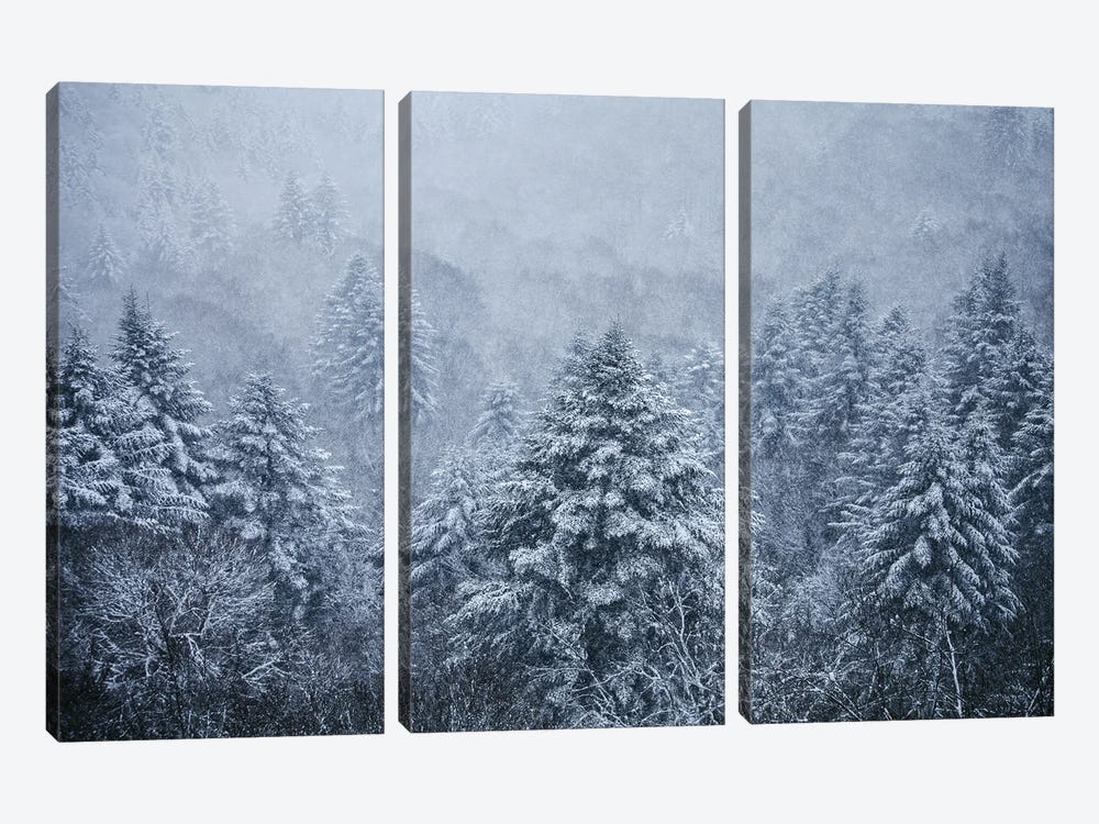 Ghost Trees Under The Snowflakes by Annabelle Chabert 3-piece Canvas Artwork